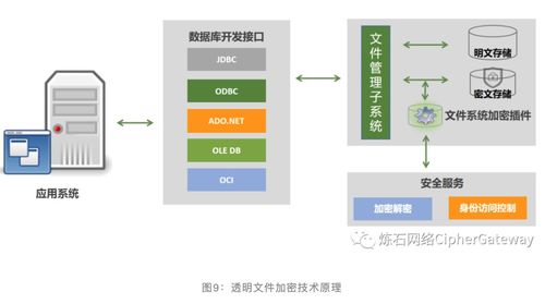 一文讀懂十大數(shù)據(jù)存儲(chǔ)加密技術(shù)